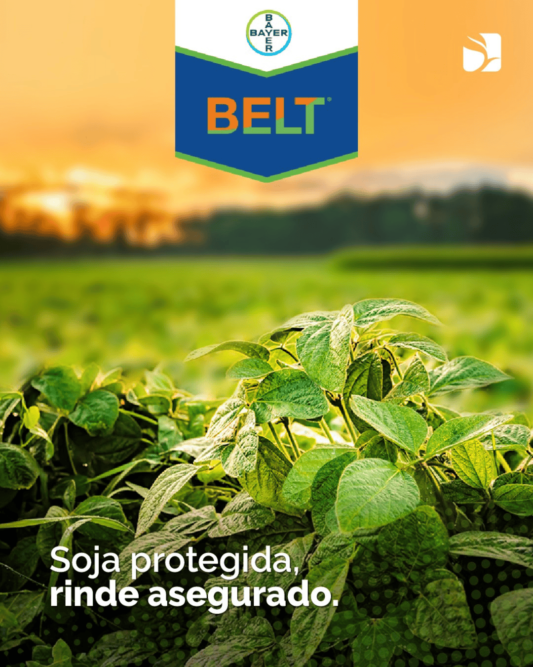 Alberto Moncho e Hijos